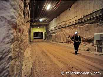 Nutrien may raise potash output as sanctions curb Russia supply, says interim CEO Seitz