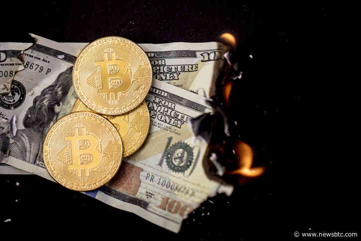 Bitcoin Indicator Hits Historical Low Not Seen Since 2015