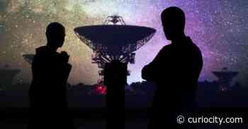 10 of the best things to do in Calgary this weekend (April 29-May 1) - Curiocity