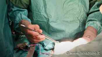 A Pisa trapiantato fegato donato da ultraottantenne a cuore fermo - LA NAZIONE