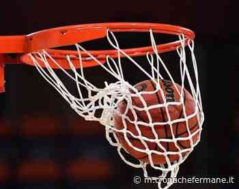 Fermo Basket, sconfitta indolore in vista dei playoff - Cronache Fermane