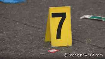 One dead, 2 others injured in Mount Hope triple shooting - News 12 Bronx