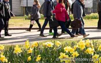 National Walking Month - Luton people urged to ditch the car and walk - Luton Today