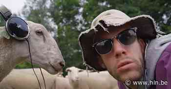 Molse dj en YouTuber Stinus lanceert eigen single 'Bosklets' - Het Laatste Nieuws