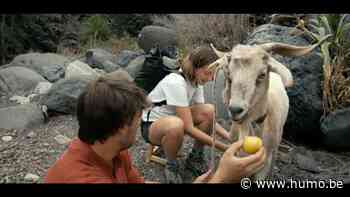 Recensie 'De mol' aflevering 7: een cameo van Fabrizio - Humo The Wild Site