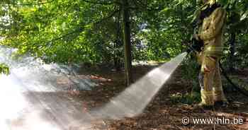 Brand in Postelse bossen naast E34 | Mol | hln.be - Het Laatste Nieuws