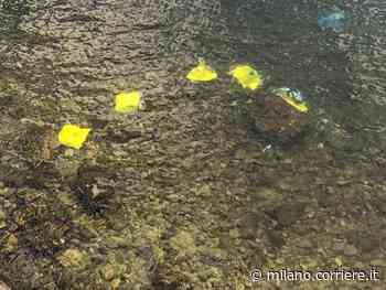 Il giallo delle armi affiorate nel lago di Lecco: decine di fucili e pistole nelle buste della spesa - Corriere Milano