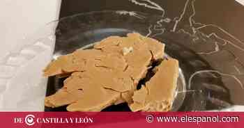 El futuro de la alimentación vegana se desarrolla en Zamora con un producto revolucionario - EL ESPAÑOL