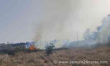 Declarado un nuevo incendio forestal en la provincia de Zamora - Zamora 24 Horas
