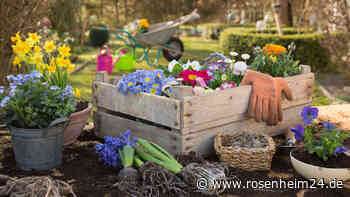 Nachhaltig schenken - Pflanzaktion im OBI Aicherpark