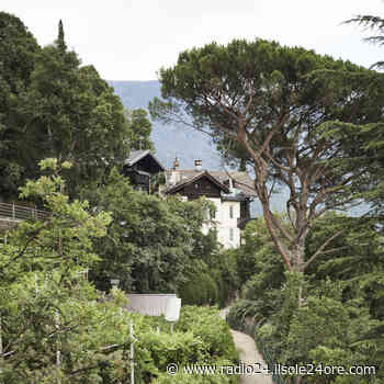 Alberi in città: il modello Merano - Il giardino segreto | Radio 24 - Radio 24