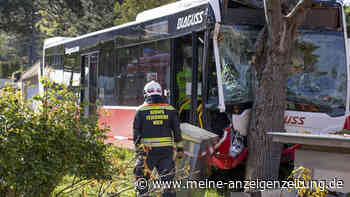 Verletzte Kinder: Linienbus knallt in Österreich gegen Baum – fataler Fehler des Busfahrers?