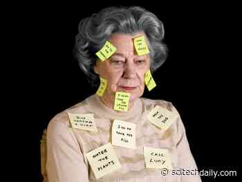 Men and Women Are Not Created Equal When It Comes to Preventing Alzheimer’s Disease