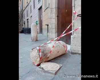 Siena Ideale: “Continuano gli incidenti del pollicino nel silenzio delle istituzioni” - Siena News