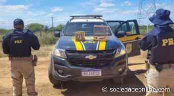 Mais de 40 aves silvestres são resgatadas pela PRF em Juazeiro - Sociedade Online