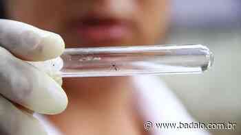 Barbalha e Juazeiro registram as seis mortes por chikungunya no Ceará em 2022 - Badalo