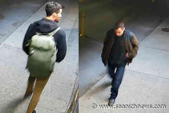 Two more potential witnesses sought in Victoria arson investigation – Saanich News - Saanich News