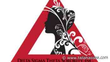 Delta Sigma Theta alumnae chapter hosts Black Business Scavenger Hunt this week - Tallahassee Democrat