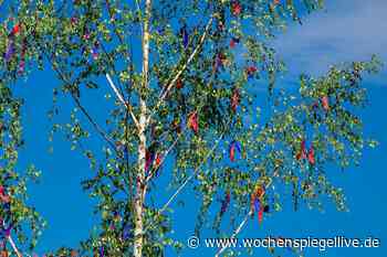 Stadt Euskirchen gibt wieder Maibäume ab - Euskirchen - WochenSpiegel