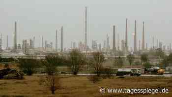 Raffinerie Schwedt hängt von Russland ab: Sorge vor Öl-Engpass – Berlin ruft Bund um Hilfe - Tagesspiegel