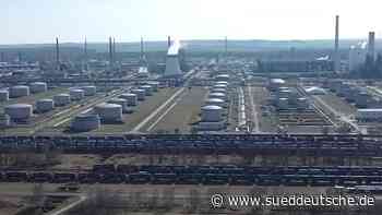 Shell bekennt sich zu Raffinerie in Schwedt - Brandenburgs Wirtschaftsminister Steinbach - Süddeutsche Zeitung - SZ.de