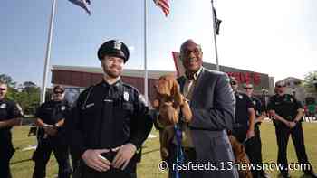 Gaming company donates bloodhound puppy, Rosie, to Hampton police