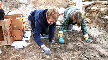 Publikation zu Entdeckungen am Jenaer Inselplatz | Jena - Ostthüringer Zeitung