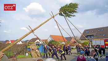 Der Maibaum als Symbol der Normalität in Jena - Ostthüringer Zeitung