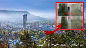 Jena: Kind schmückt Baum mit Ostereiern – dann kommt der Schock - Thüringen24