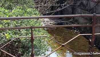 Gallarate, Cenci (M5S): «Scarichi abusivi nell'Arno. Salviamo il torrente» - malpensa24.it
