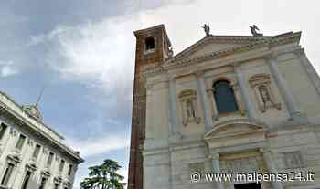 I rondoni nidificano sul campanile della basilica di Gallarate - malpensa24.it