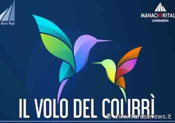 Al Maga di Gallarate la consegna delle borse di studio di Manageritalia - varesenews.it