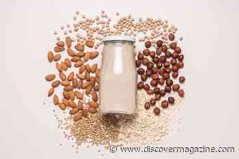 Which Plant-Based Milk Is Best for the Planet (And You)?