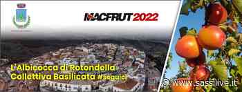 Comune di Rotondella presenta "sua maestà" albicocca a Macfrut 2022 di Rimini - Sassilive.it