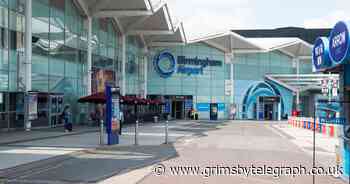 Airport queue chaos will continue for weeks, says boss - Grimsby Live - Grimsby Live