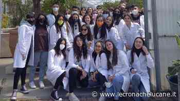 IL RIGHETTI DI MELFI AD AREZZO PER UNO STAGE - Cronache TV