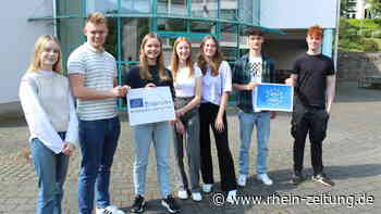 Erasmusprogramm in Cochem: Damit Europa tiefer zusammenwächst - Kreis Cochem-Zell - Rhein-Zeitung