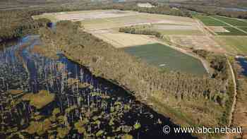 'Huge' new music festival site for the Sunshine Coast aims to attract big-name events