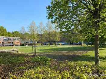 Adviezen wegens verhoogde waarden op brandweersite Izegem: zo beperk je PFAS-risico - KW.be