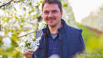 Warum die Blüte für den Obsthof Querfurt ein Lotteriespiel ist - Mitteldeutsche Zeitung