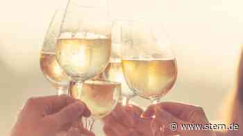 Weine unter zehn Euro: Die stern-Redaktion empfiehlt | STERN.de - STERN.de