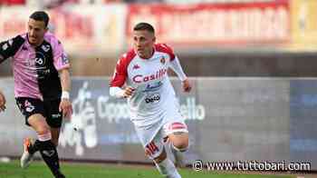 D'Errico e la B riconquistata. Da Monza al Bari: questa volta sarà protagonista - BARI CALCIO