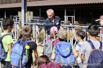 «Mehr Selbstversorgung bei Kommunikation erlangen» - schweizerbauer.ch