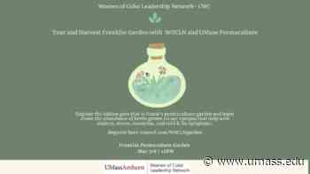 Tour and Harvest Franklin Garden with WOCLN and UMass Permaculture - UMass News and Media Relations