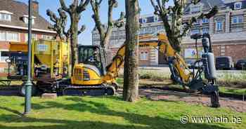 'Plofbeurt' voor zilverlindes Hulstplein: Meststoffen en lava worden in wortelzones geschoten - Het Laatste Nieuws