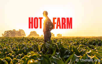 FERN’s Back Forty: How vegetable farming can ‘redevelop’ the Mississippi Delta - Food & Environment Reporting Network