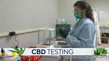 WCCO Reveals Testing Results Of Popular CBD And Delta 8 Products - CBS Minnesota