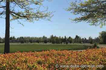 What could be the future use of Paterson Park? - Delta Optimist