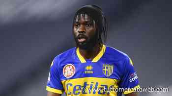 Parma, Gervinho fa visita ai suoi ex compagni. Galli: "Conoscerlo è stato un vero piacere" - TUTTO mercato WEB