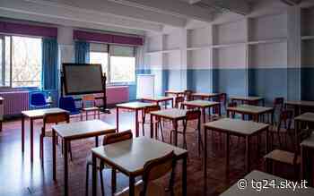 Studenti sporcano muro di feci e la maestra li rimprovera: condannata - Sky Tg24